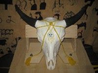 Bisonschädel verziert mit gelben Schnüren